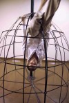 Circus Uusi Maailman performanssi Naapuri Yläkaupungin asuintaloissa vuonna 2011. Kuva: Pietari Puranen